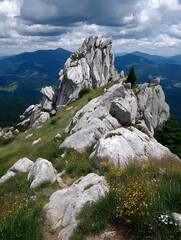 Jagged rocky peak overlooks lush green valley. Cloudy sky, wildflowers in foreground