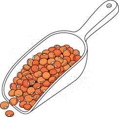 Line art illustration of a scoop full of orange beans isolated on transparent background
