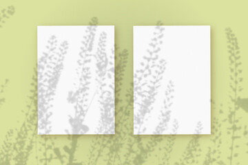Natural light casts shadows from wildflowers on 2 vertical sheets of white paper lying on a green background. Mockup