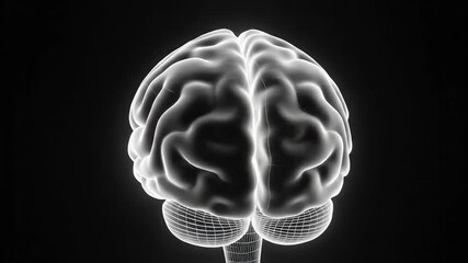 A detailed threedimensional digital rendering of the human brain glowing with ethereal light against a stark black background symbolizing intelligence thought and advanced neurological science. - Powered by Adobe
