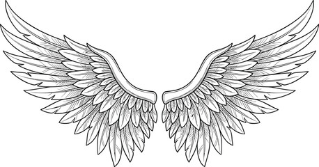 Black and white line drawing of a pair of symmetrical feathered wings in an open spread line art