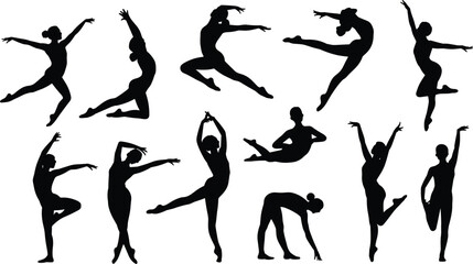 Diverse Black Silhouettes of Ballet Dancers Performing Various Graceful Movements on White pose © Legend Monir