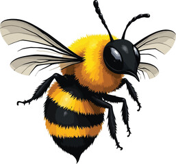 Vector art of a painted illustration of a bee with black and yellow stripes in flight, isolated on white background