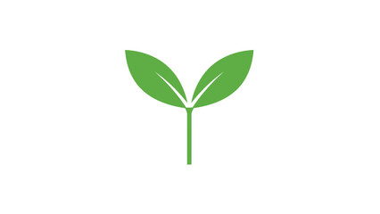 Fototapeta premium Young green seedling with two leaves on a white background, symbolizing growth, sustainability, and new beginnings