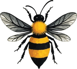 Vector art of a detailed illustration of a bee with black and yellow stripes, isolated on white background