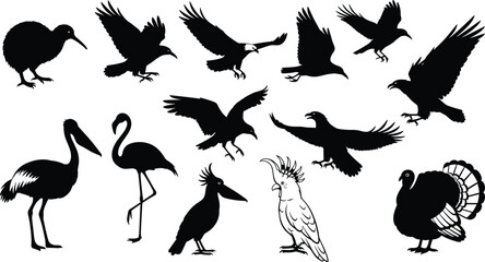 Obraz premium A diverse collection of multiple bird silhouettes, featuring eagles, kiwi, flamingos, and turkeys in various poses for nature and wildlife designs.