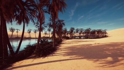 tropical beach with palm trees, cinematic drone sweep during golden hour over warm sand and calm lagoon, long palm shadows, azure sky with cirrus streaks,