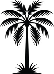 Palm tree silhouette with symmetrical tropical fronds isolated on white background, elegant black vector nature illustration