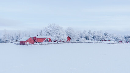 Farm bran  and house in a cold winter landscape with snow and frost in christmas time