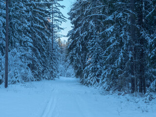 Winter road with snow and frrost in christmas time