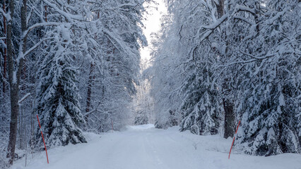 Winter road with snow and frrost in christmas time