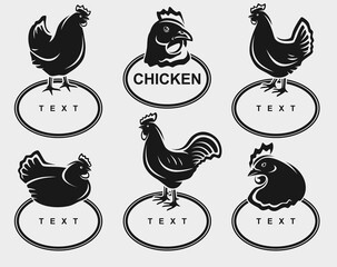 Chicken labels and icon set. Collection icons chicken. Vector