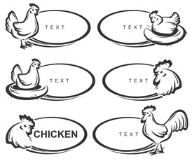 Chicken labels and icon set. Collection icons chicken. Vector