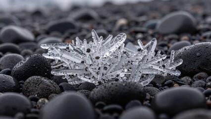 Clear ice fragments resting on black pebbles near the shore under cloudy sky