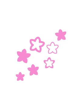 starburst effect animation of multiple flowers form a japnese floral pattern design