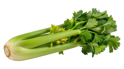 Fresh green celery fresh celery vegetable isolated on a transparent background
