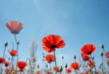 Fototapeta premium Red poppies in a field on a sunny day. Soft focus. AI generated Red poppies in a field on a sunny day. Soft focus. AI generated