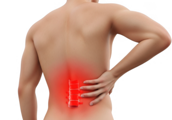 Human spine pain highlighted isolated on transparent background