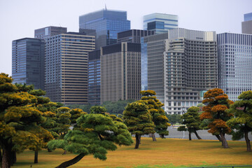 Obraz premium Tokyo. Cityscape with modern skyscrapers behind a traditional Japanese garden and pine trees