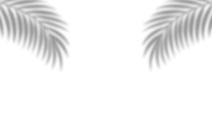 Realistic palm leaves shadow with overlay effect summer decoration element vector art. Gray and white elegant tropical coconut leaf and branches blur shadow background. Vector illustration.