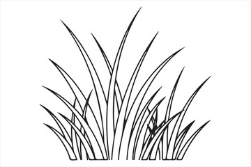 Simple grass illustration