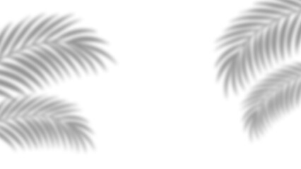 Obraz premium Realistic palm leaves shadow with overlay effect summer decoration element vector art. Gray and white elegant tropical coconut leaf and branches blur shadow background. Vector illustration.