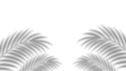 Realistic palm leaves shadow with overlay effect summer decoration element vector art. Gray and white elegant tropical coconut leaf and branches blur shadow background. Vector illustration.