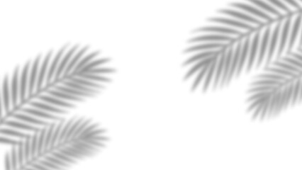 Fototapeta premium Realistic palm leaves shadow with overlay effect summer decoration element vector art. Gray and white elegant tropical coconut leaf and branches blur shadow background. Vector illustration.