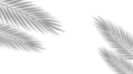 Realistic palm leaves shadow with overlay effect summer decoration element vector art. Gray and white elegant tropical coconut leaf and branches blur shadow background. Vector illustration.