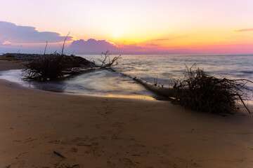 Minimal sunrise seascape with calm water, smooth reflections and driftwood on sandy beach, peaceful coastal mood with warm sky colors, natural background for travel, wellness, meditation and relaxatio