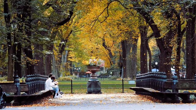 Autumn panorama in Central Park, New York City, United States of America. Unrecognizable people sitting in a beautiful public park at fall season, 4K.