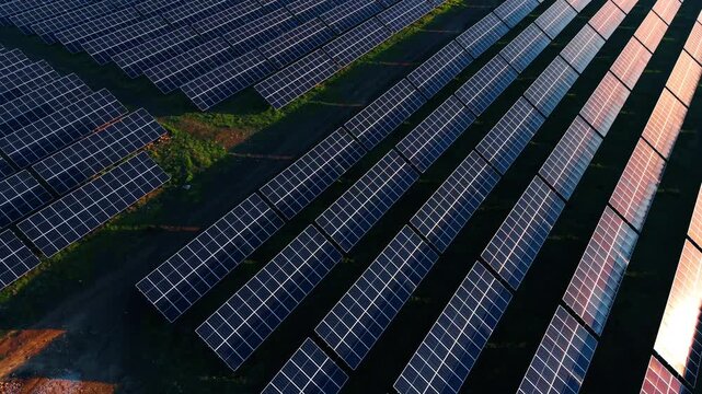 Lots of modern solar panels turned to the setting sun. Multiple photovoltaic cells absorb sunlight for green energy production.