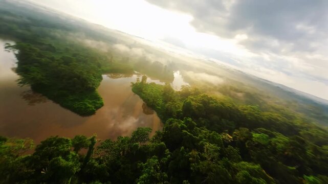 Aerial drone image of a tropical Amazon river flowing through a Amazon rainforest, dark water and lush vegetation. An aerial footage of the amazon rainforest showing a river through the jungle.