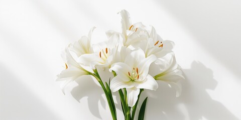 White lilies arranged against a plain backdrop serving as a background for text or graphics © The 2R Artificiality