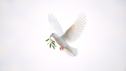 Obraz premium Flying white dove carrying a green olive branch. A universal symbol of peace, hope, and new beginnings on a clean white background