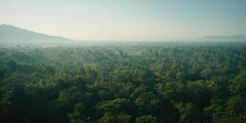 360-degree perspective of dense Green Forest in Thailand environmental conservation, Earth Day