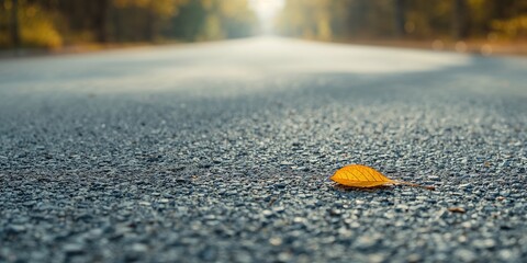 Obraz premium Text layout background featuring a textured grey asphalt with a yellow leaf in the corner, ideal for editorial design, autumn