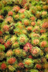 Rambutan fruits piled together in Pattaya, Thailand, displaying their unique hairy skin and vibrant colors