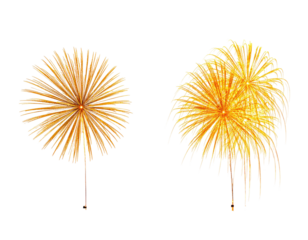 Two yellow, starburst-like explosions against a black background, perfect for celebratory themes