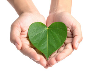Two hands cupping a vibrant, green leaf shaped into a heart against a black background