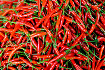 Vibrant display of fresh red chilies at a local market in Pattaya, Thailand, capturing the essence of Thai cuisine