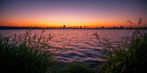 Waterfront Sunset Scene With Plants
