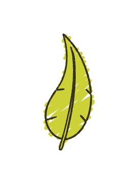 changing color animation of a Leaf Chalk doodle Drawing