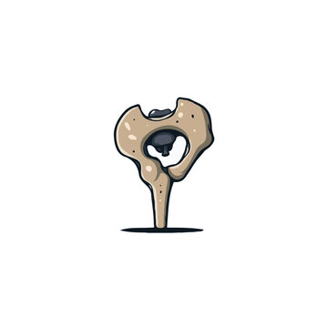Stylized medical illustration of a human ilium bone with acetabulum cavity for anatomy and medical