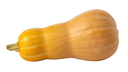 Yellow butternut squash yellow squash vegetable isolated on a transparent background