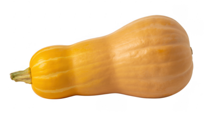 Yellow butternut squash yellow squash vegetable isolated on a transparent background