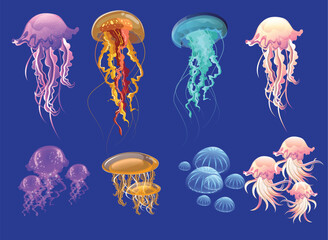 jellyfish in the blue water © sakibforever