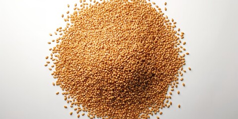 Close-up of wheat grains used as a textured backdrop for UI design or labels