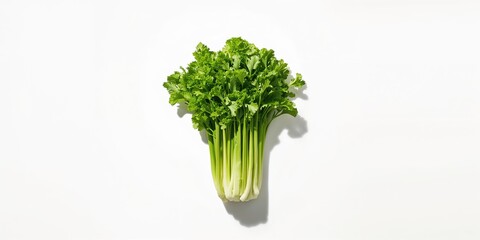 Fototapeta premium Close-up of crisp celery stalks on a white background, suitable for layout and editorial design