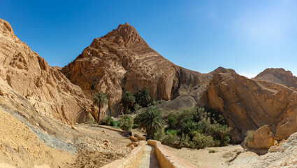 Chebika Oasis in Tunisia